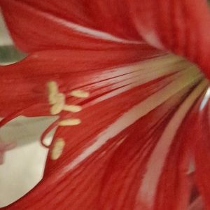 Meet your Posher, Christinia